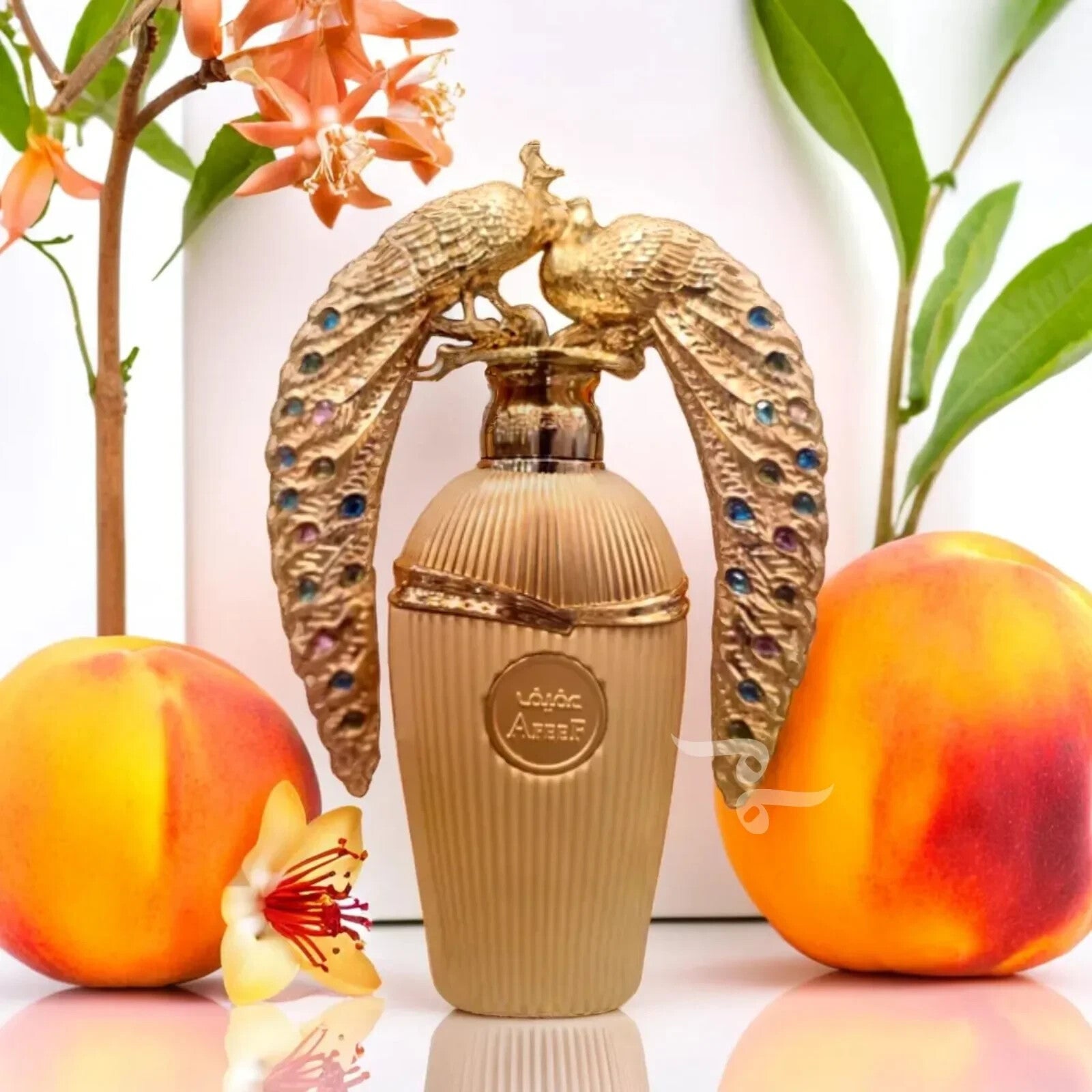 Lattafa Afeef 3.4 oz EDP for unisex