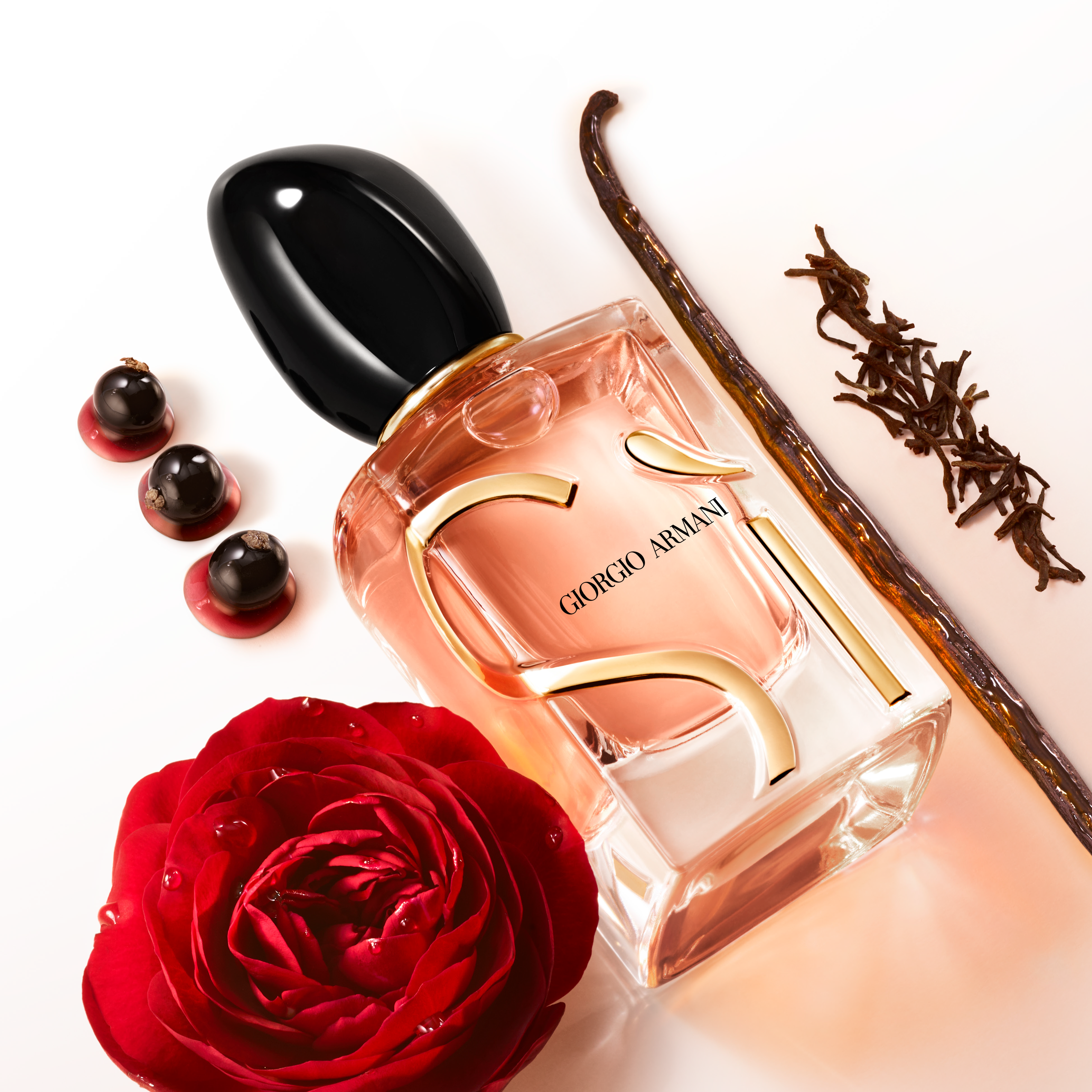 Giorgio Armani perfume bottle with a red rose, vanilla bean, and berries on a white background