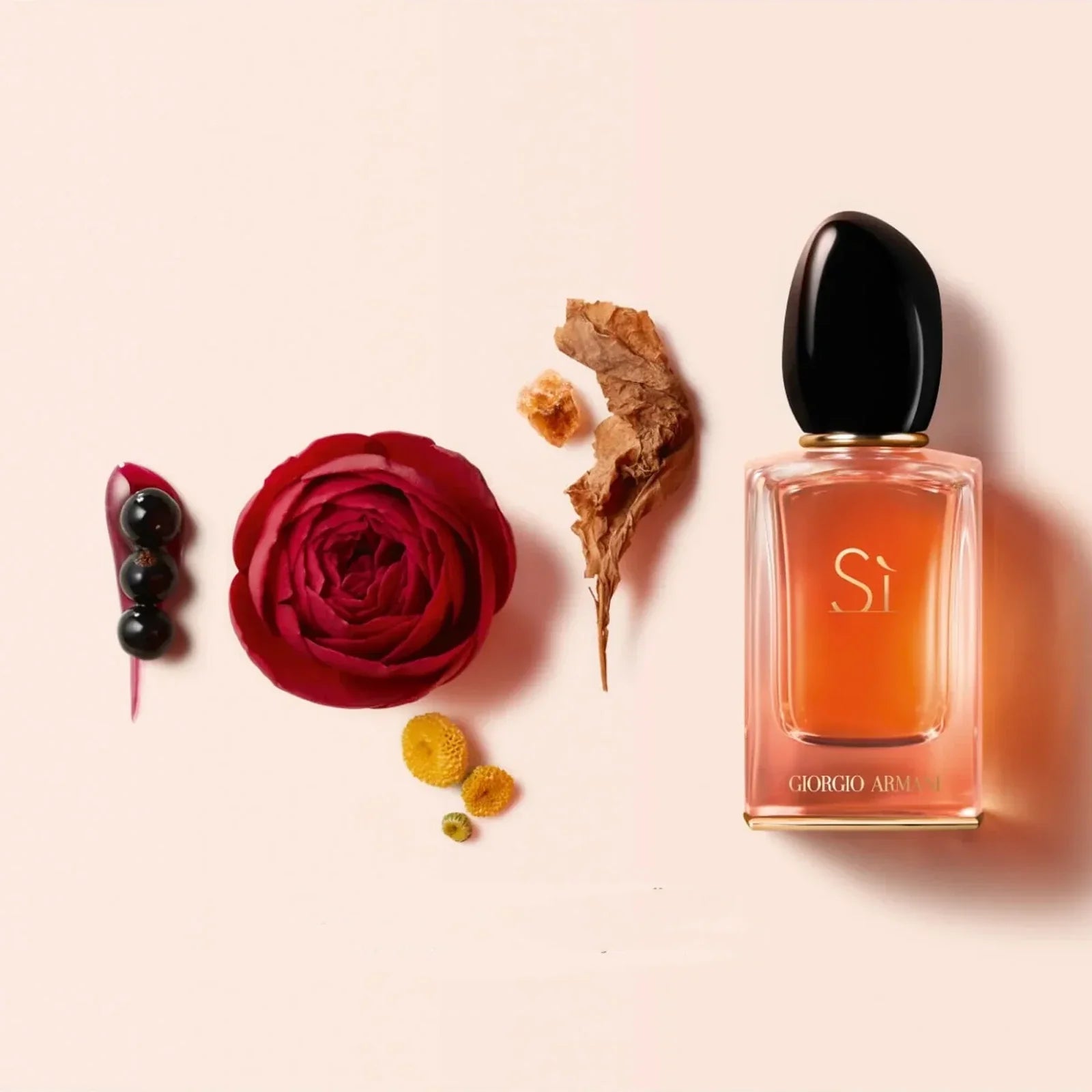 Perfume bottle with a red rose and dried leaves on a light pink background