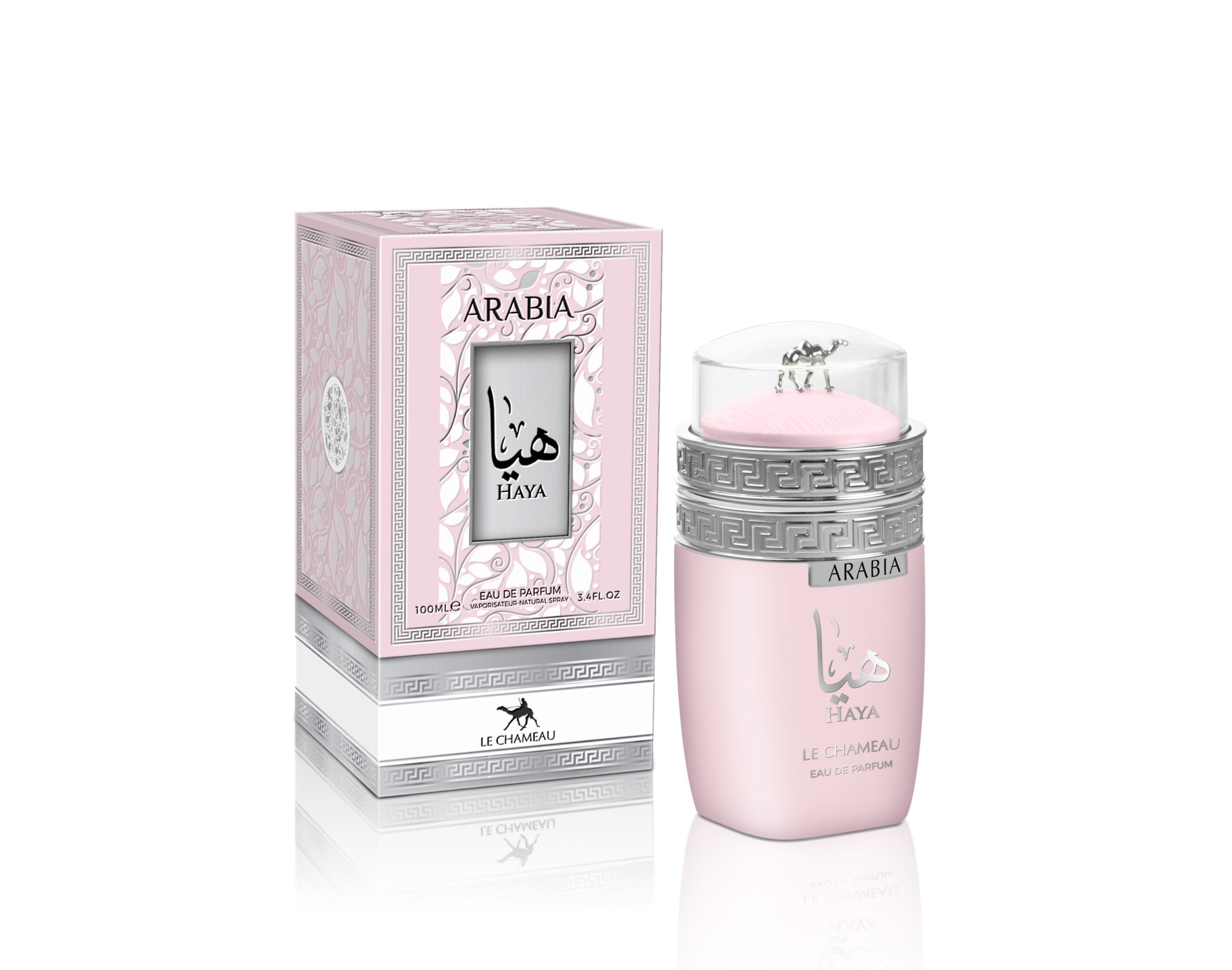 Arabia Haya by Le Chameau 3.4 EDP Unisex